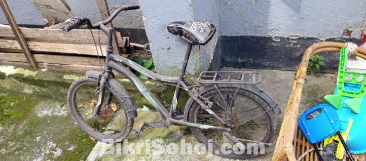সাইকেল, সু রেক,বুক সেল,ট্যাংক,লাগেজ